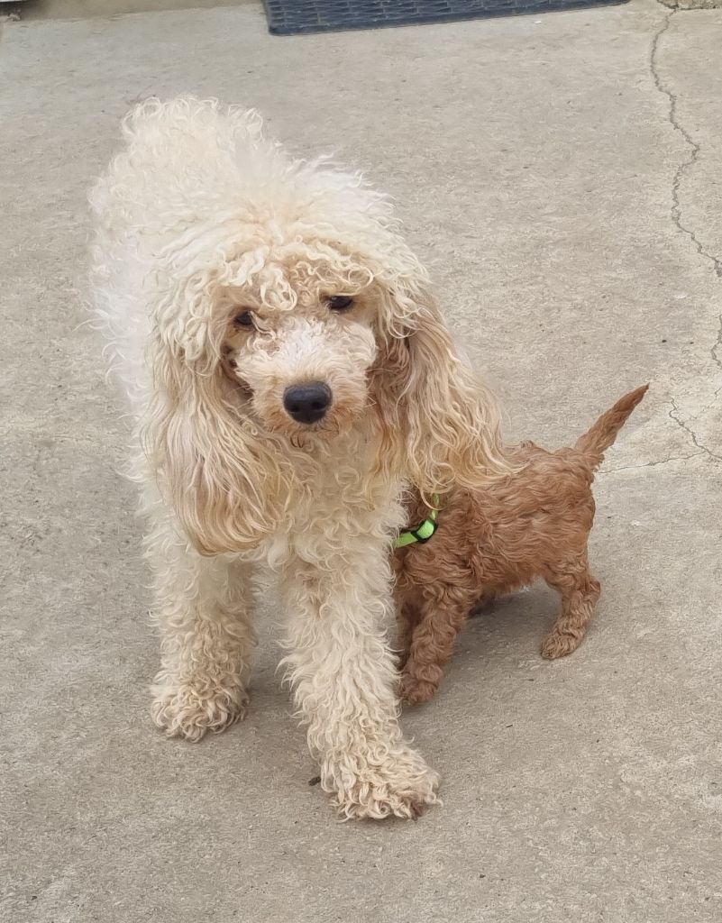 Vaila du Hameau de Crecques